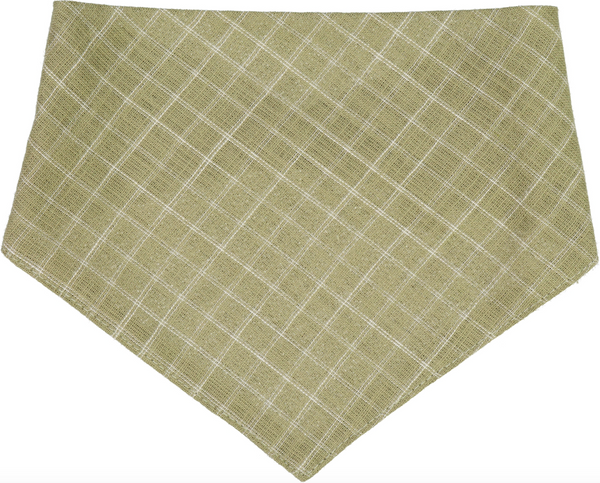 Bilde av bib eden green check