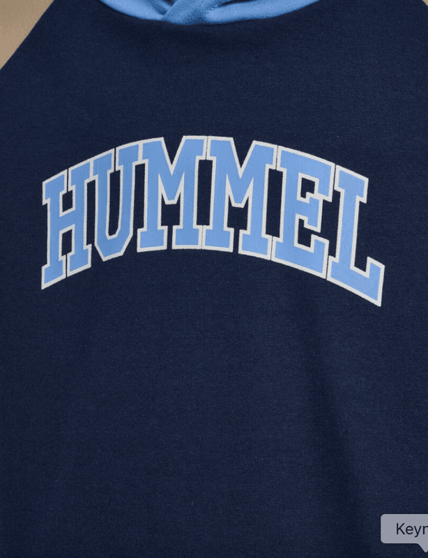 Hummel hettegenser Essen black irirs